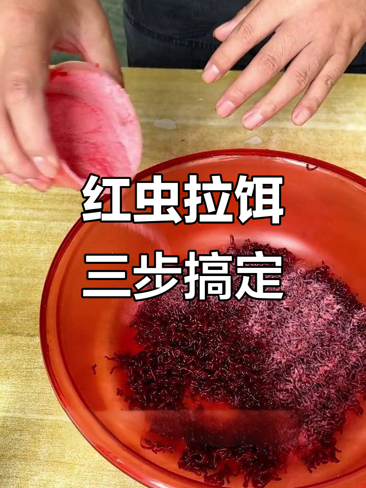 快速开好红虫饵,钓鱼必备技巧