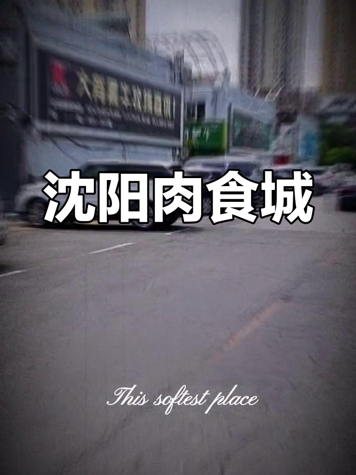 沈阳皇姑区冻品交易市场:东北最大肉类批发中心