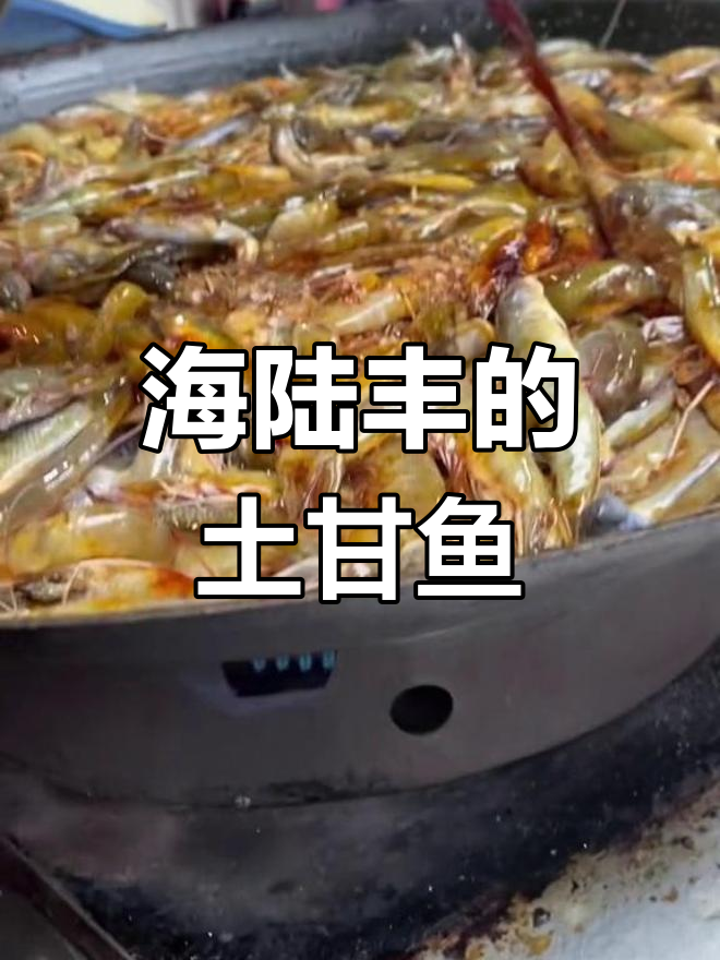 汕尾海陆丰的土甘鱼,你们叫狗母鱼吗?