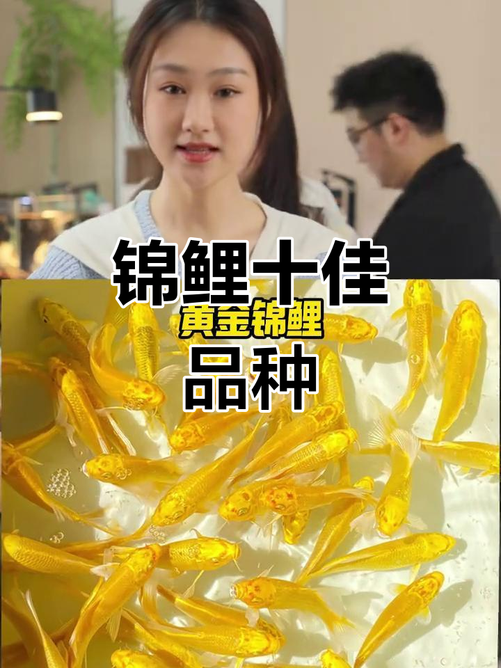 锦鲤十大品种大揭秘，看看你了解几种？