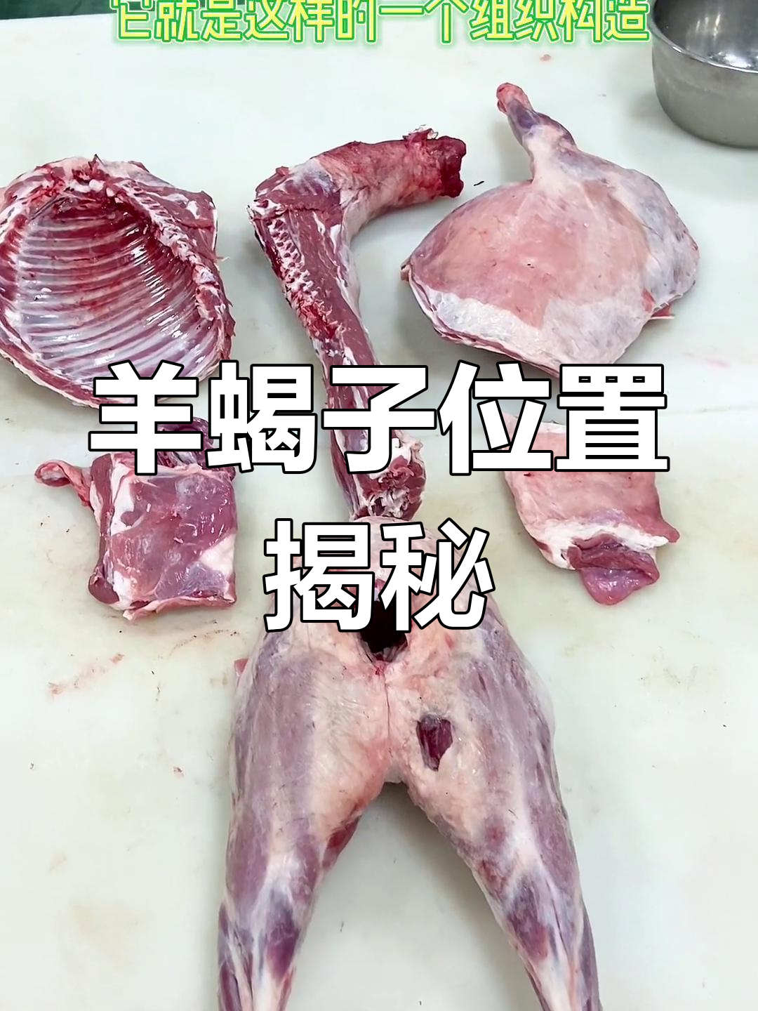羊蝎子与各部位肉质解析