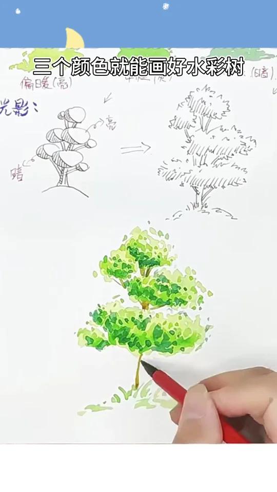 零基础学水彩|一定要知道的画树方法和步骤