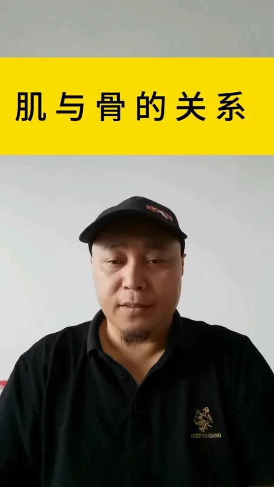 肌肉与骨骼之间的关系
