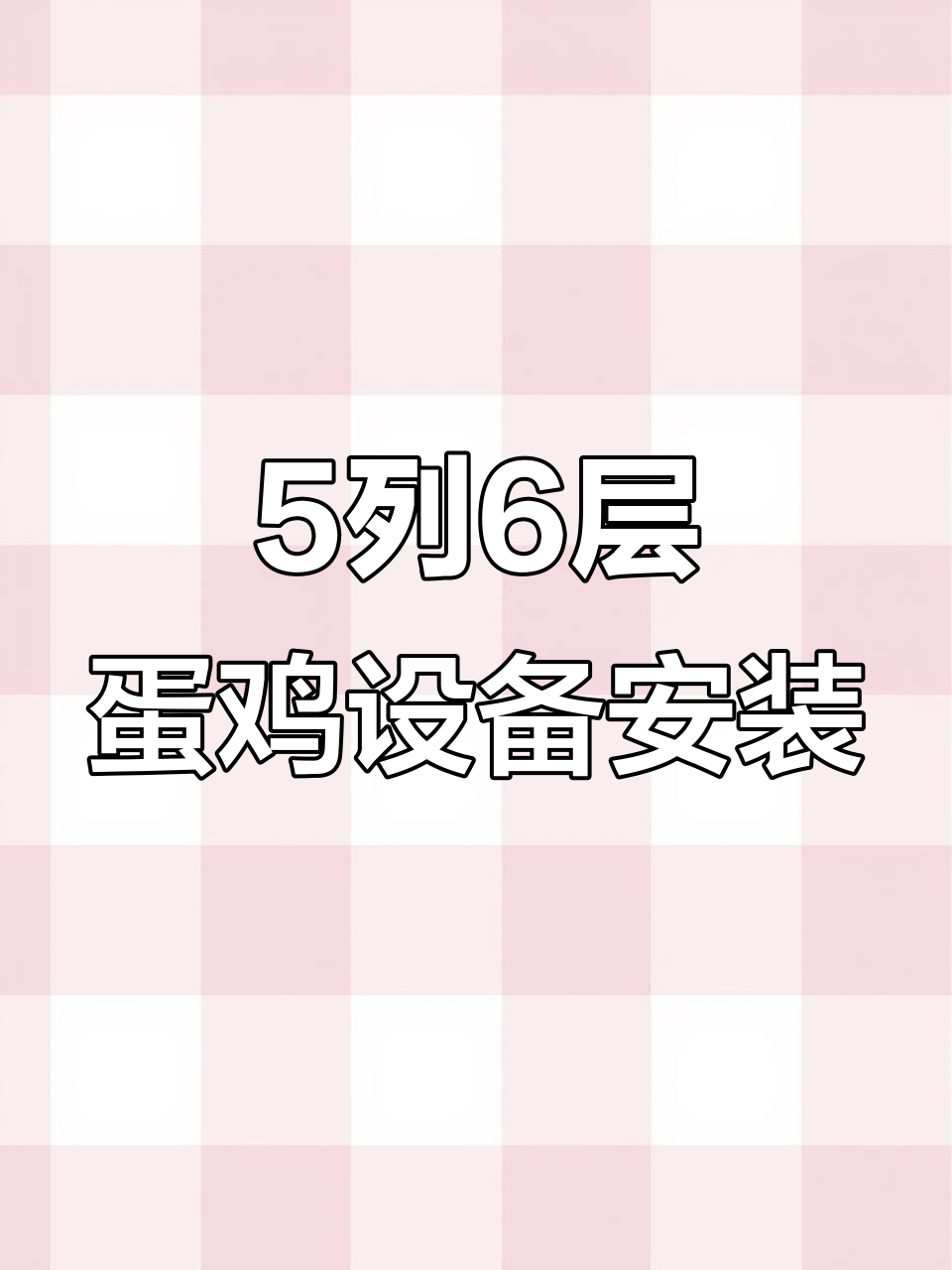 小巨人5列6层蛋鸡养殖设备安装现场,快速了解一站式采购优势