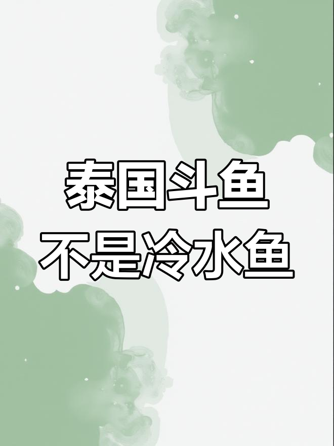 泰国斗鱼是热带鱼,不能冷水养!
