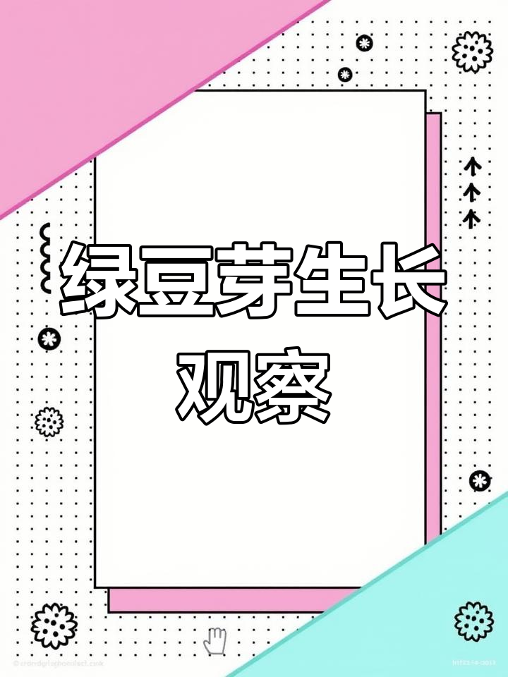 幼儿园作业:绿豆芽发芽过程,春天的趣味实验
