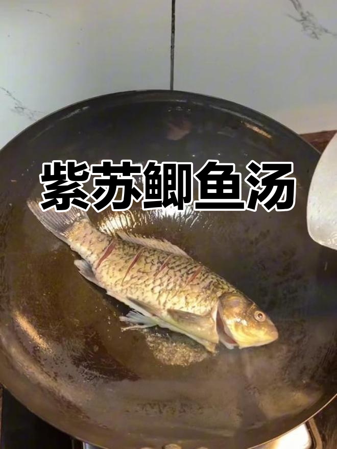 紫苏与鲫鱼搭配,汤鲜美无比,真是绝妙组合!