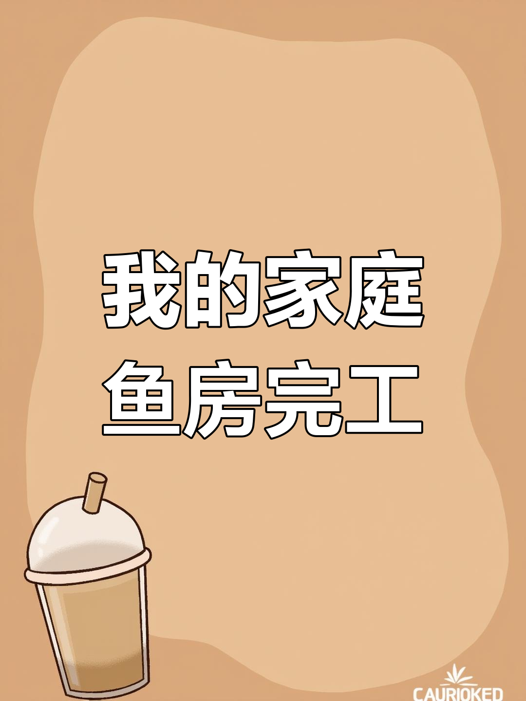 室内鱼房打造记:从杂物间到观赏鱼天堂