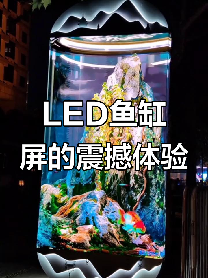 杭州亚运会定制LED鱼缸屏,裸眼3D效果惊艳全场