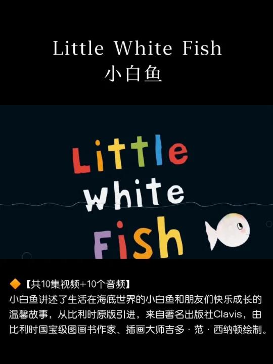资源分享|小白鱼