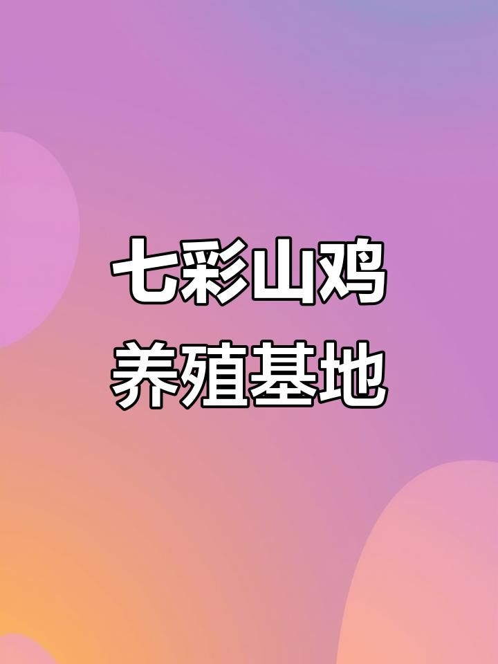 七彩山鸡养殖基地，全国发货支持