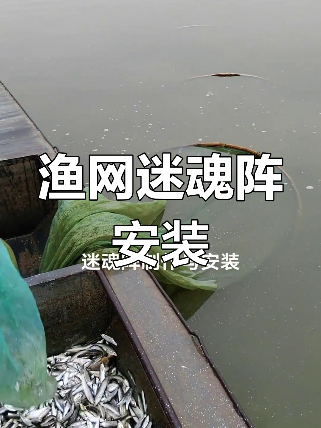 渔民现场制作迷魂阵,捕鱼技巧大揭秘