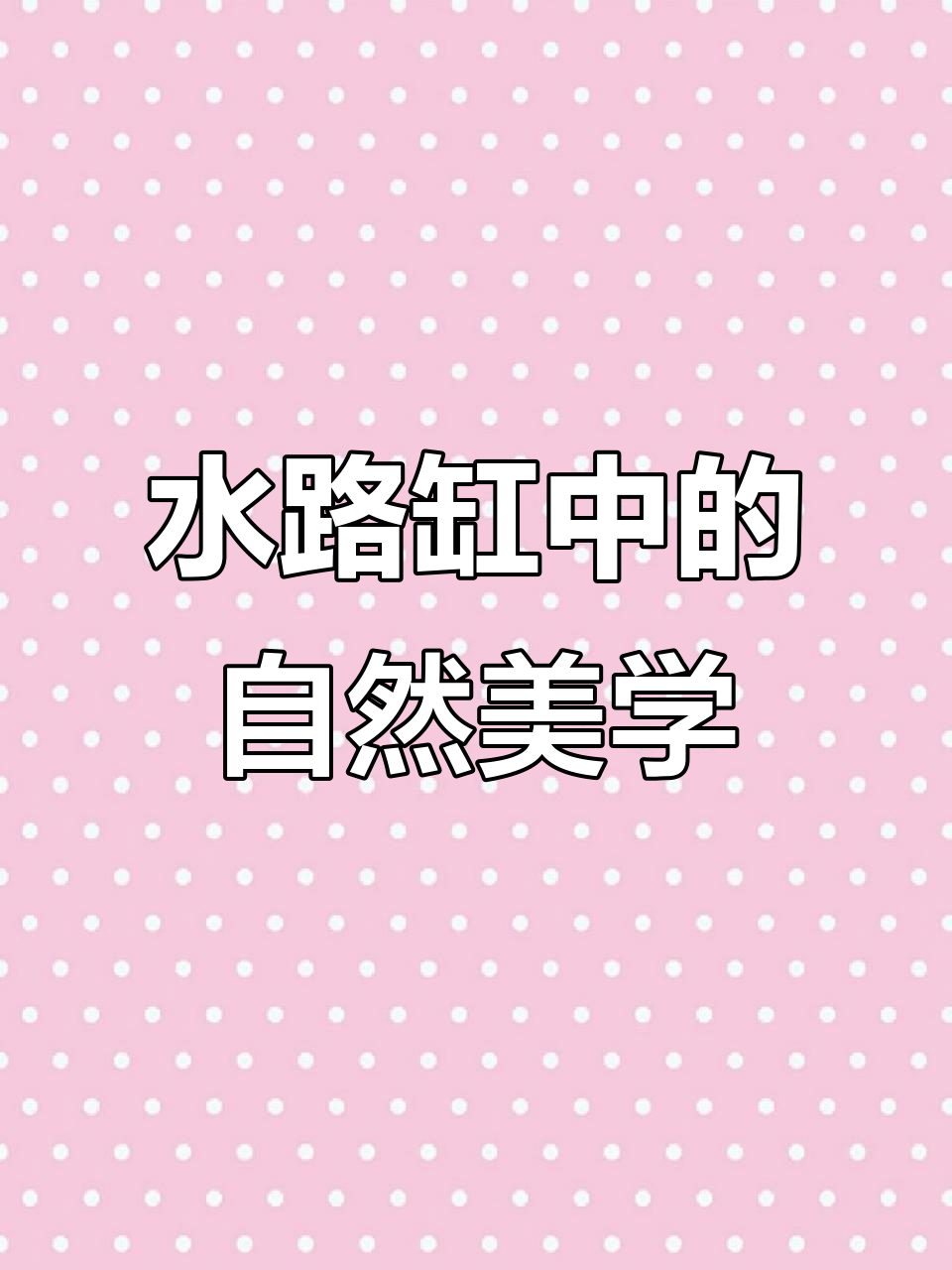 山水村落与微景观的意境之美,陶瓷鱼缸造景技巧