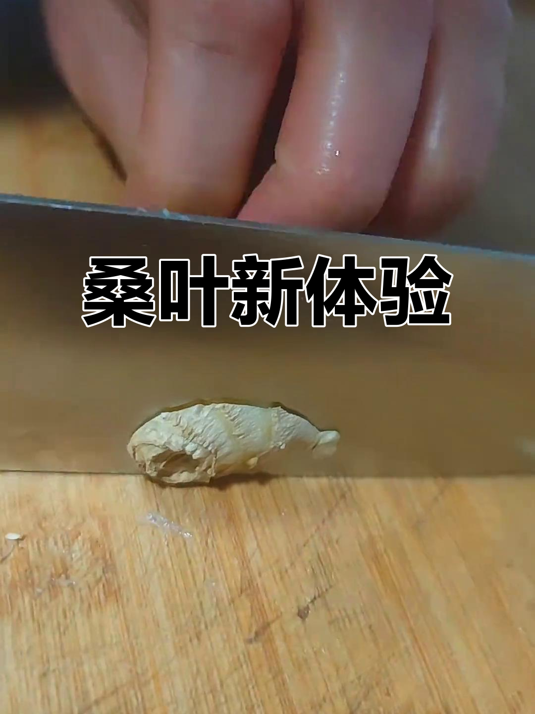 第一次尝试桑叶汤,嫩叶香气扑鼻,儿子超爱!