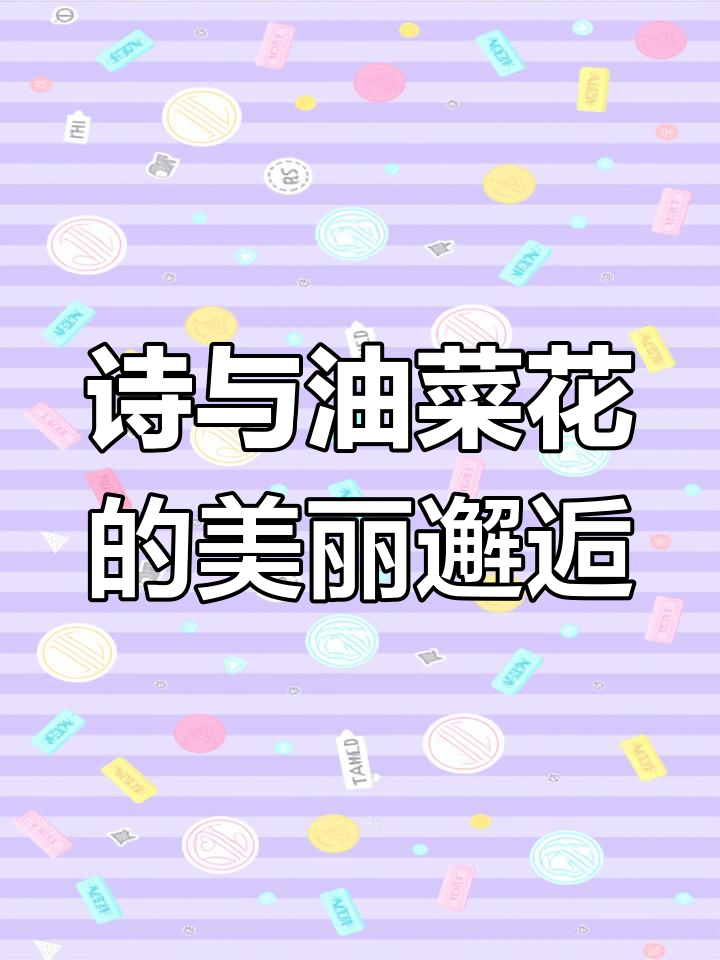 油菜花下的诗意时光,唯美诗词每日分享