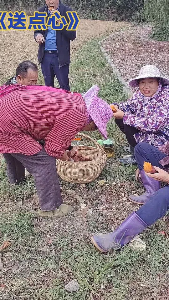 今天请人种菜籽，还为大家送上美味点心！