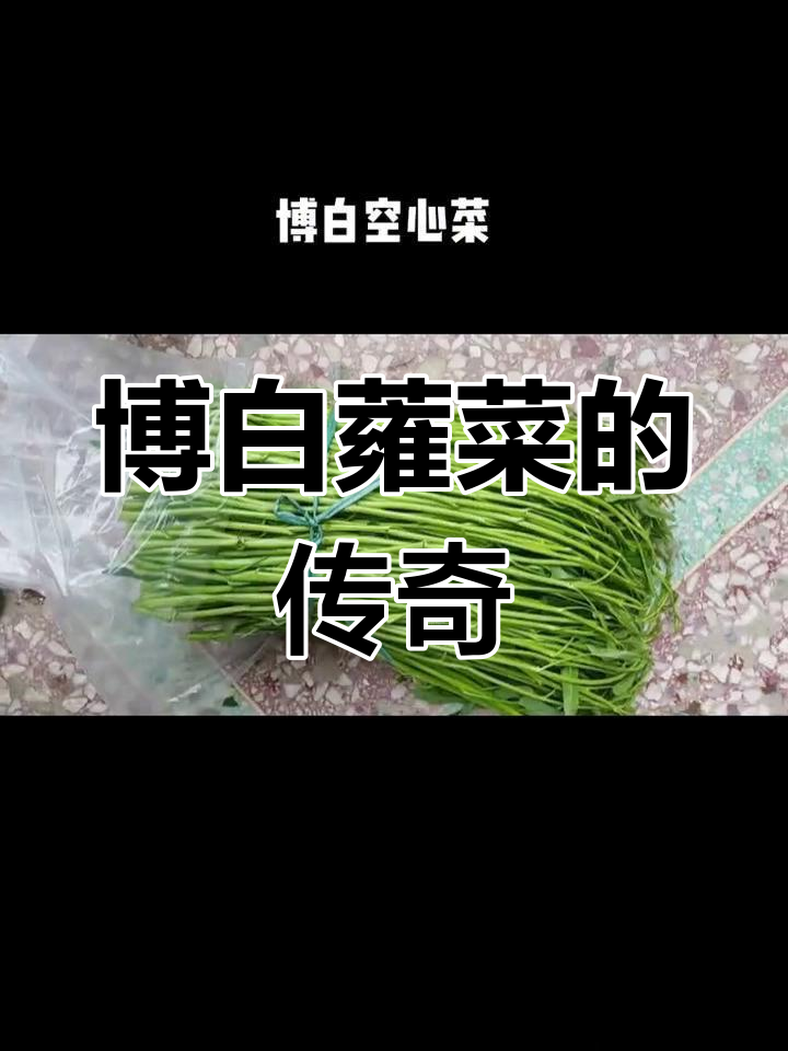 博白蕹菜,丰富多样,勤劳致富之路