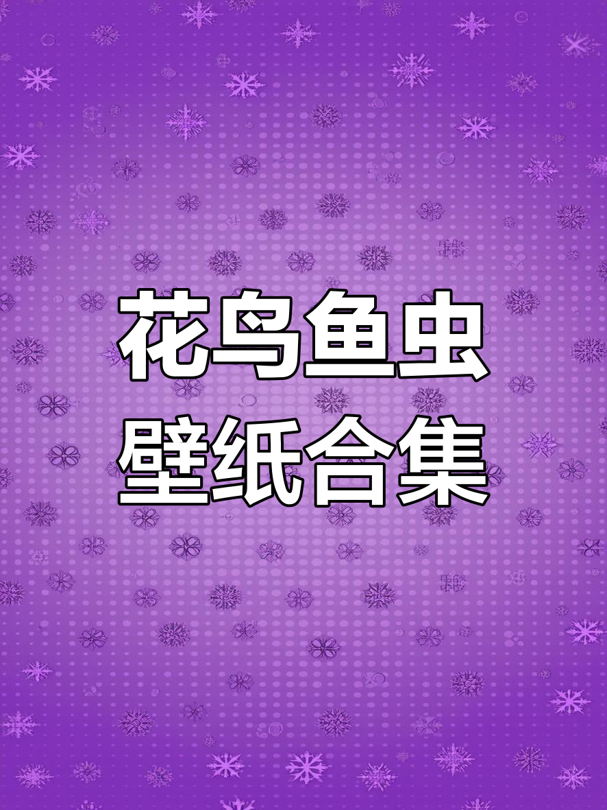 精美花鸟鱼虫壁纸,自然与艺术的完美结合
