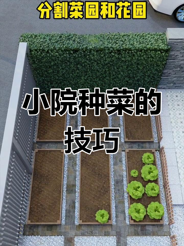 打造菜园与花园共存的庭院设计,提升生活品质