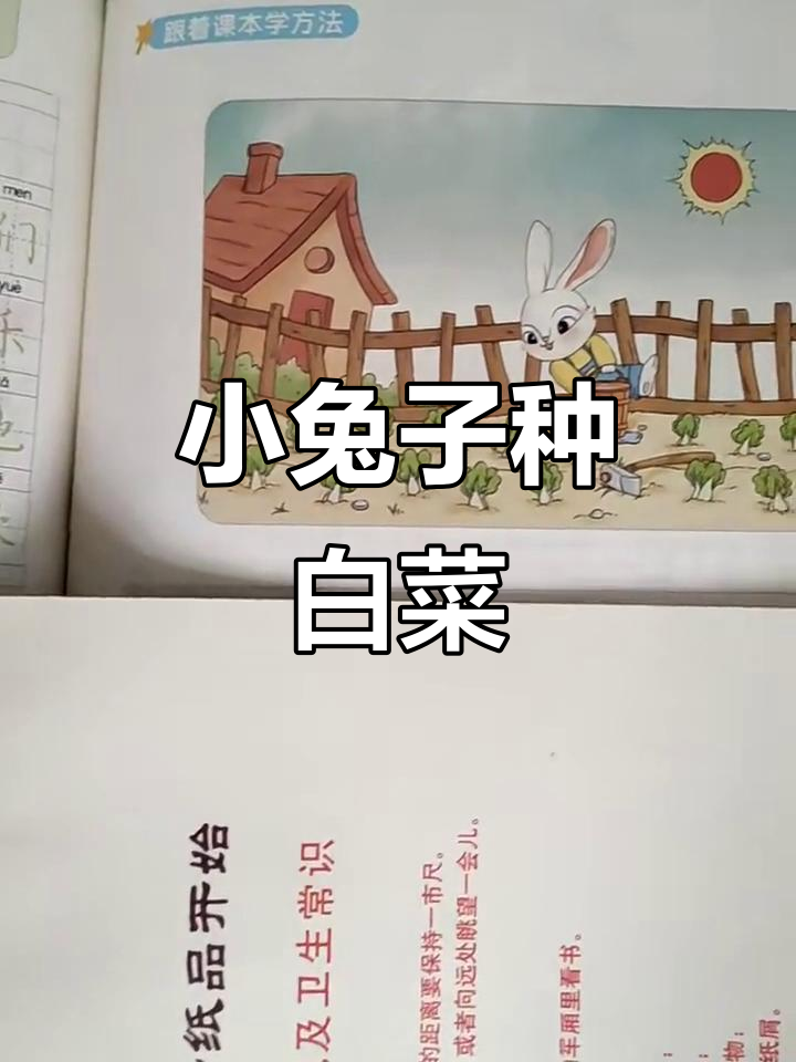 小兔子春天种白菜,勤劳又可爱