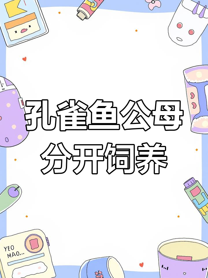 公母孔雀鱼分缸技巧,避免早孕影响生长