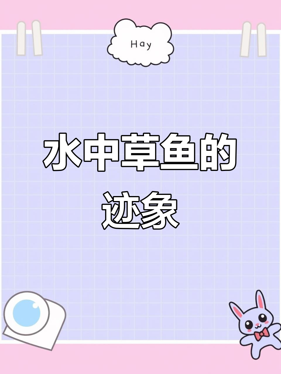 如何判断水域中是否有草鱼？掌握这些技巧轻松钓获