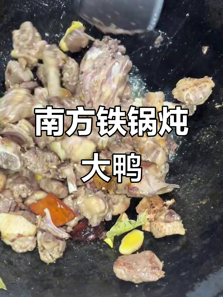 铁锅炖大鸭,南方的美味秘制做法