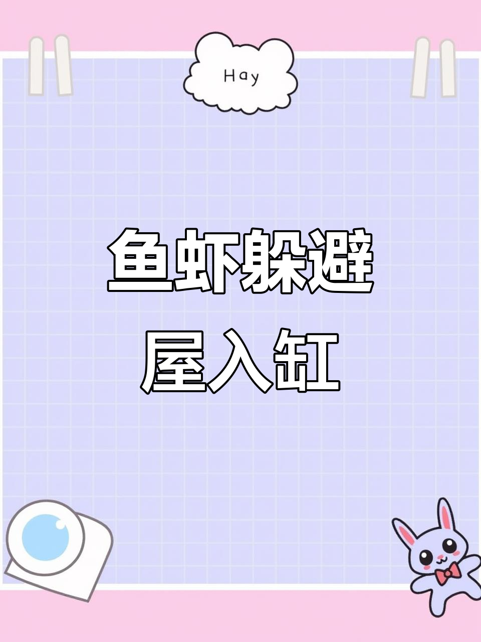 鱼虾躲避屋,繁殖罐与造景完美结合