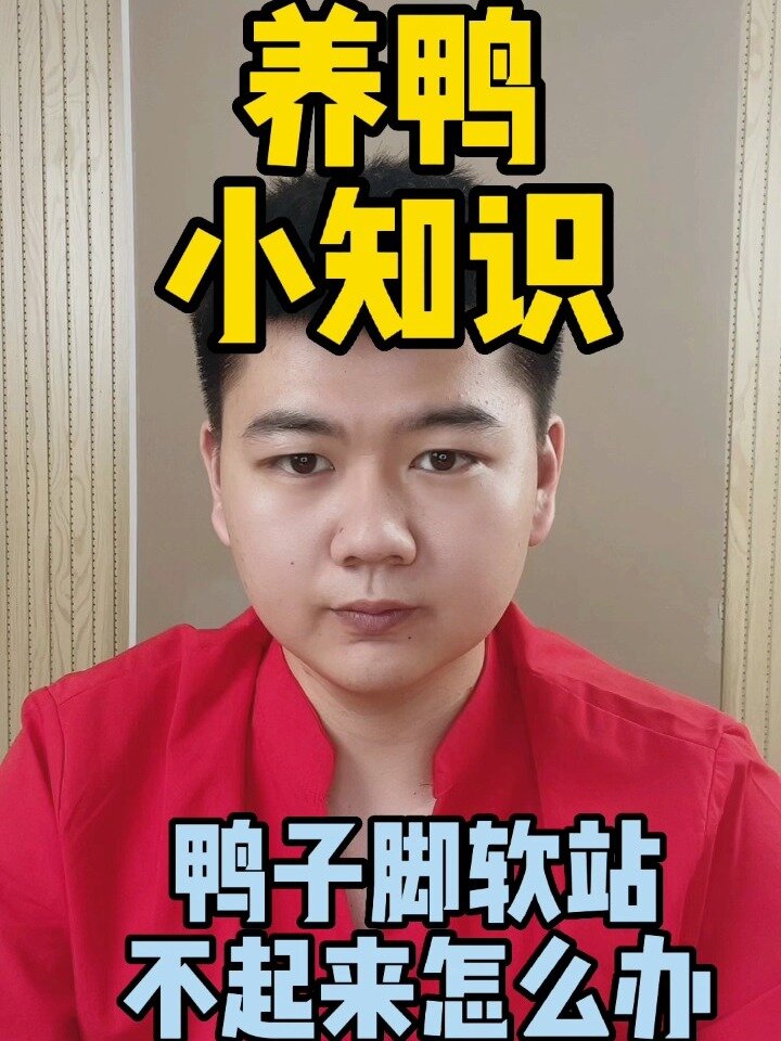 鸭子脚软站不起来是什么原因鸭子脚软站不起