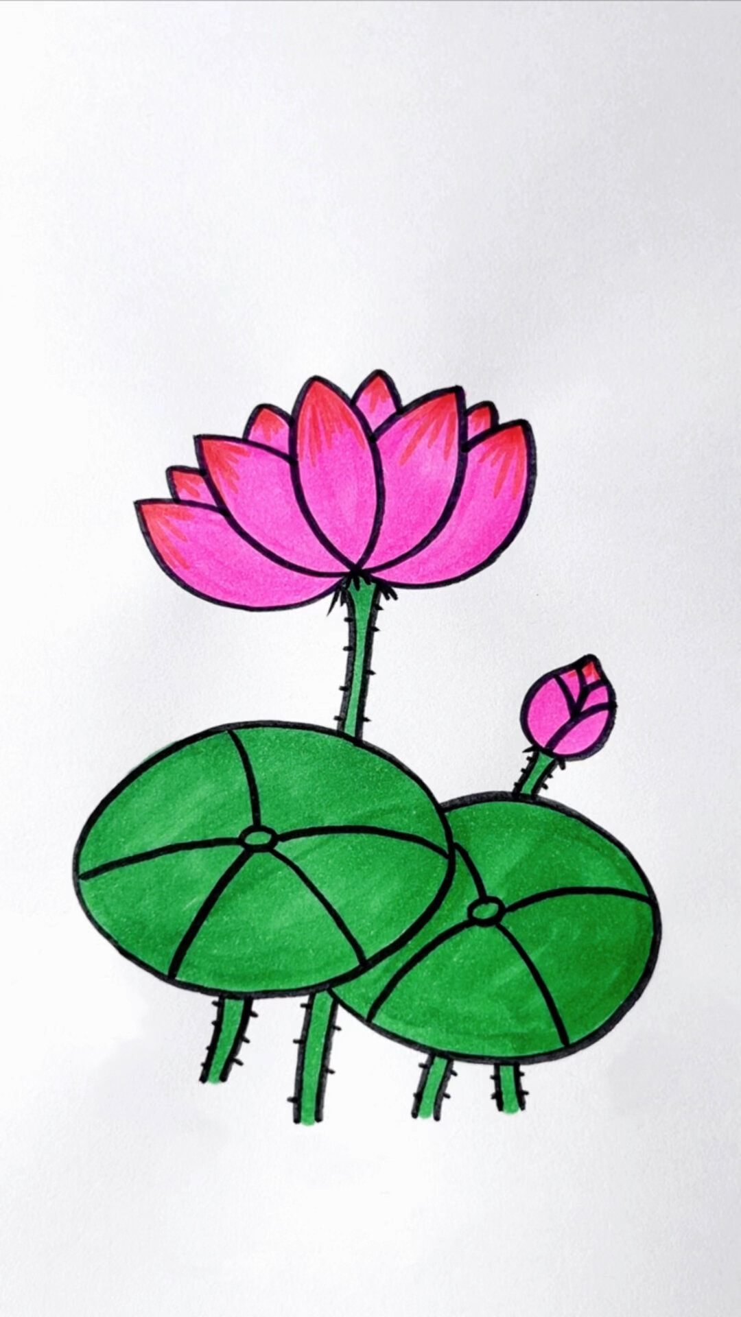 教你画简单的荷花简笔画