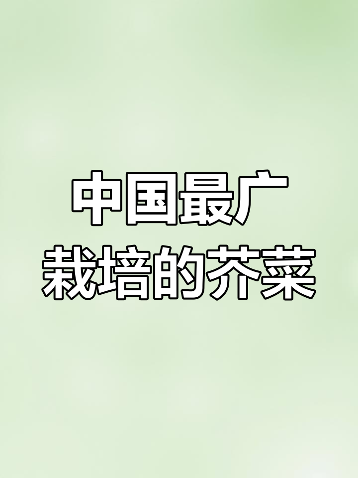 芥菜:7种常见品种与生长习性