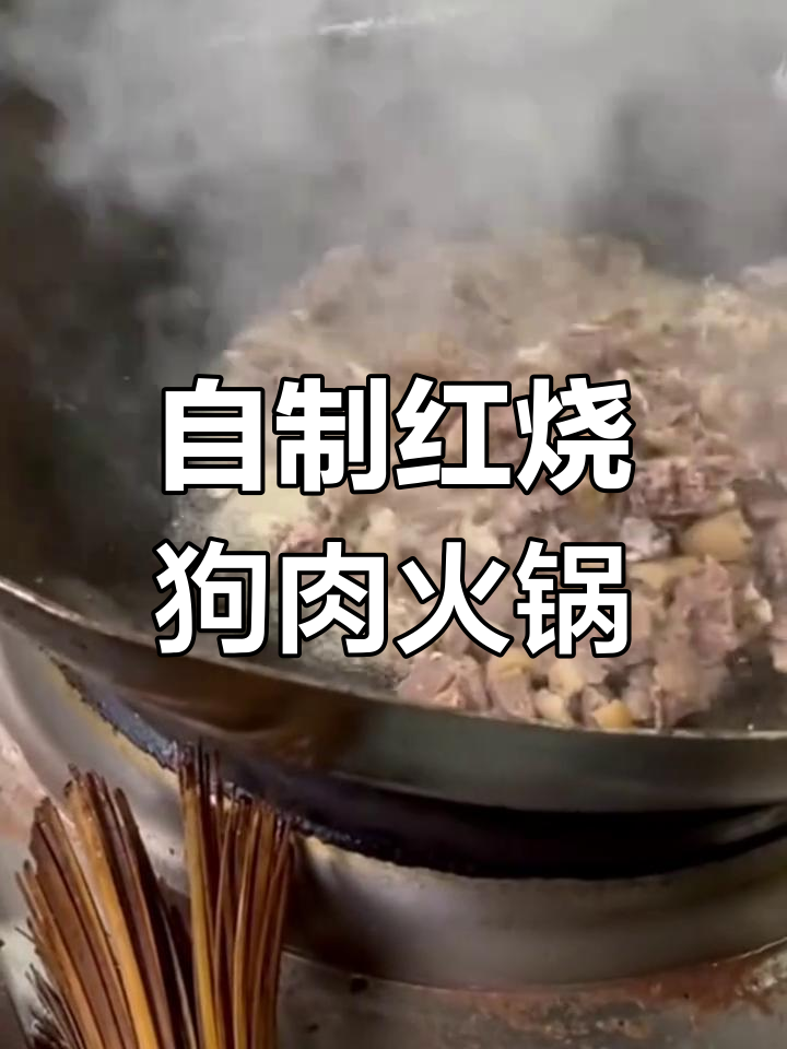 红烧狗肉火锅,家常做法大揭秘