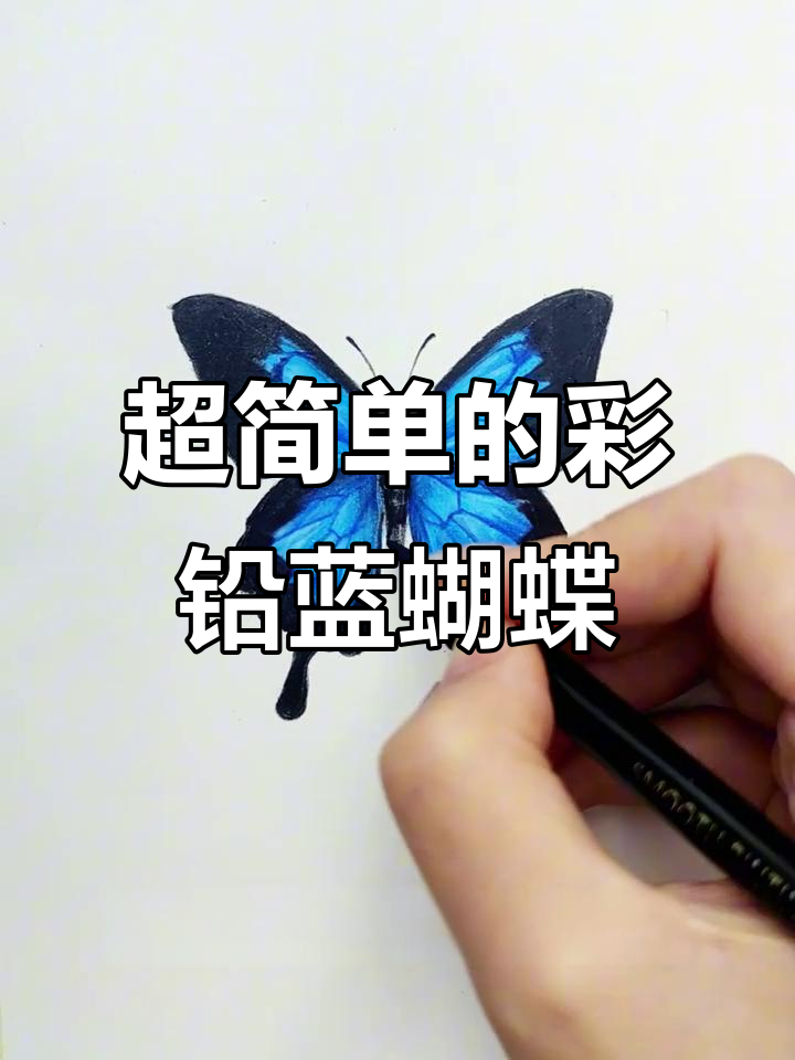 轻松画出蓝蝴蝶，步骤简单又有趣