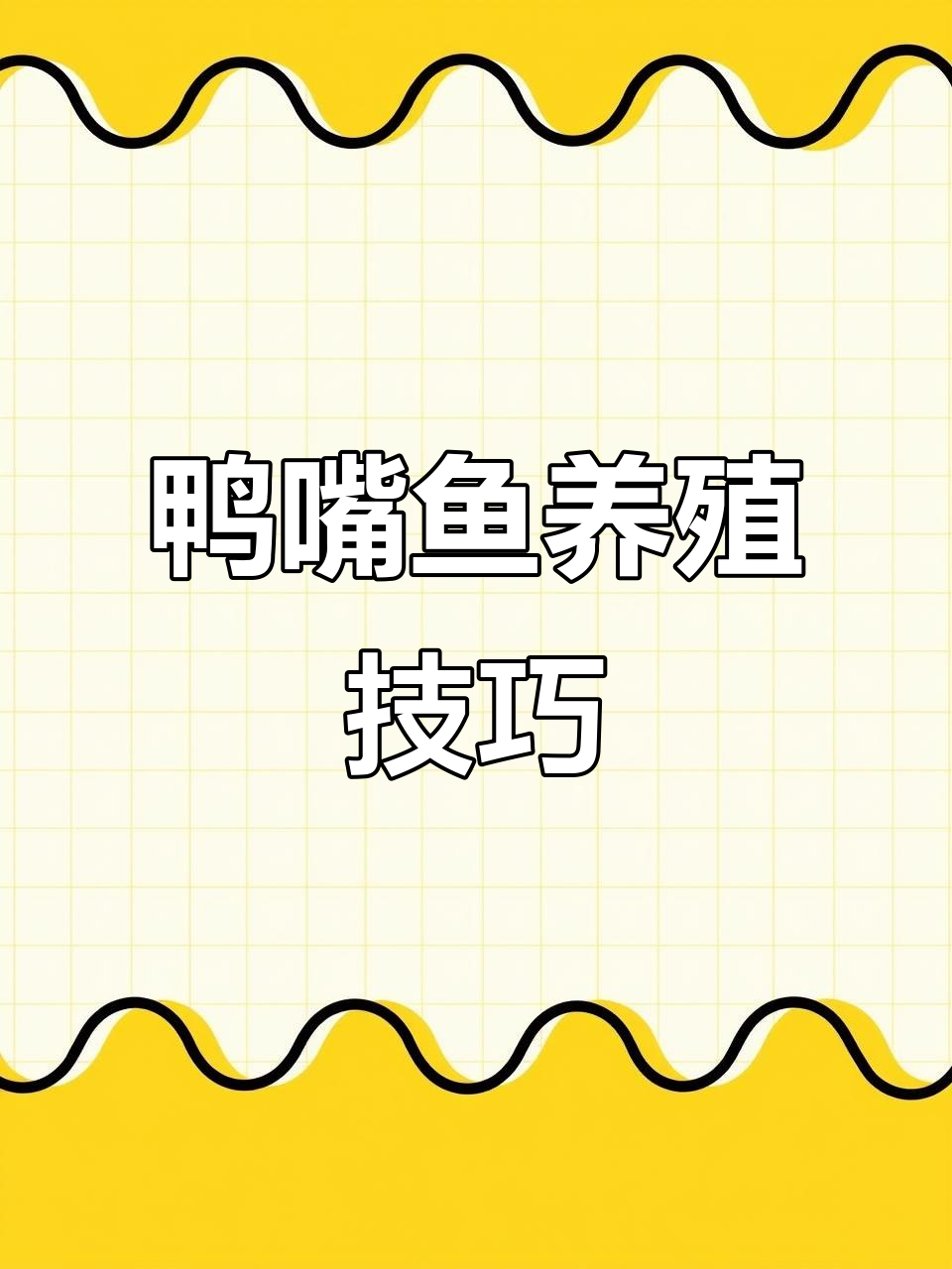 鸭嘴鱼养殖基地揭秘:从黑陈皮到白肚皮,细节全解析