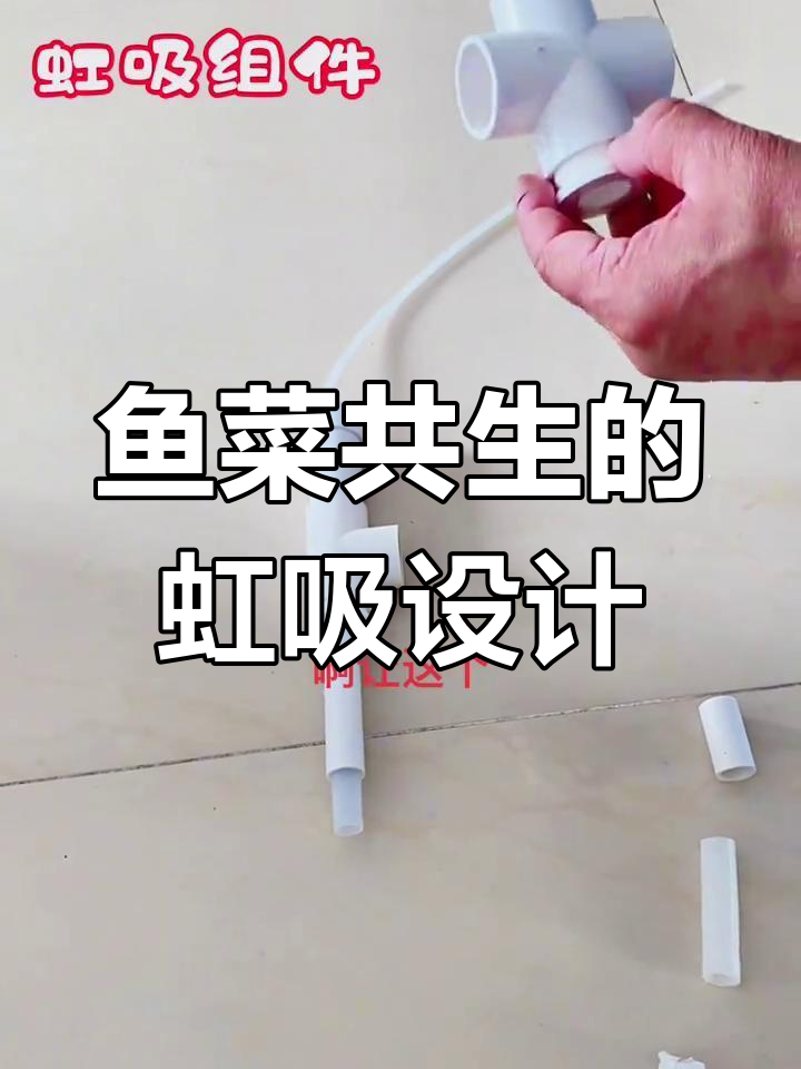 虹吸原理揭秘:鱼菜共生系统中的关键组件与结构解析