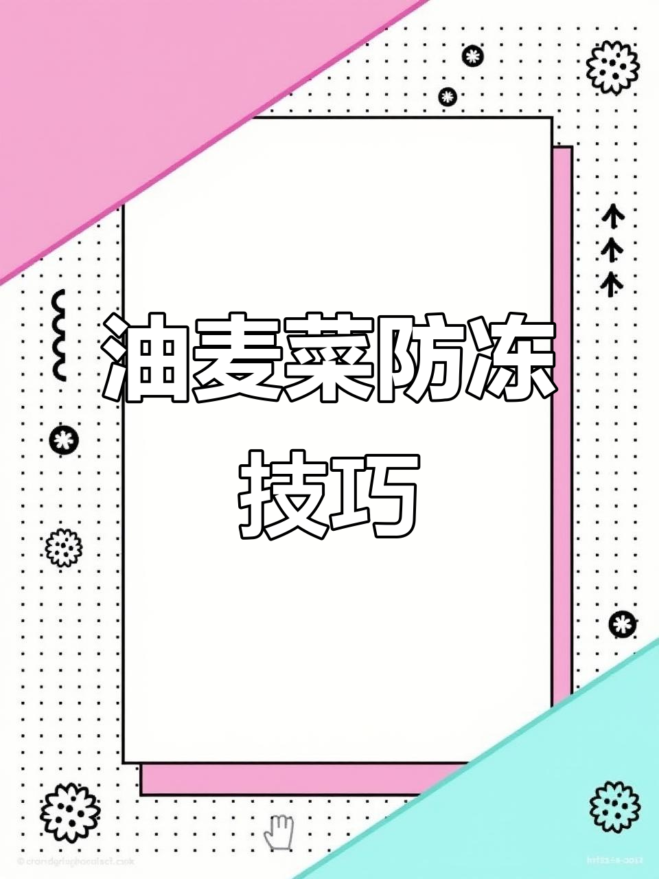 冬季油麦菜移栽34天,霜霉病防治全攻略