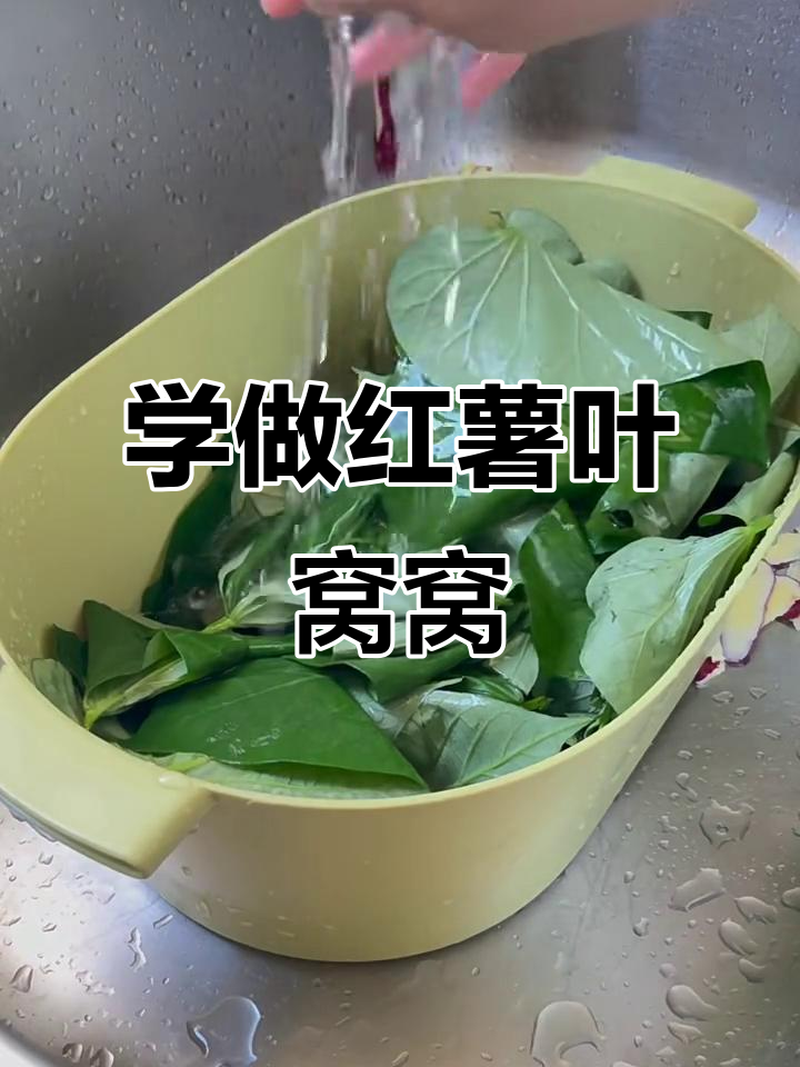 轻松学做红薯叶窝窝,蒸一蒸美味又健康