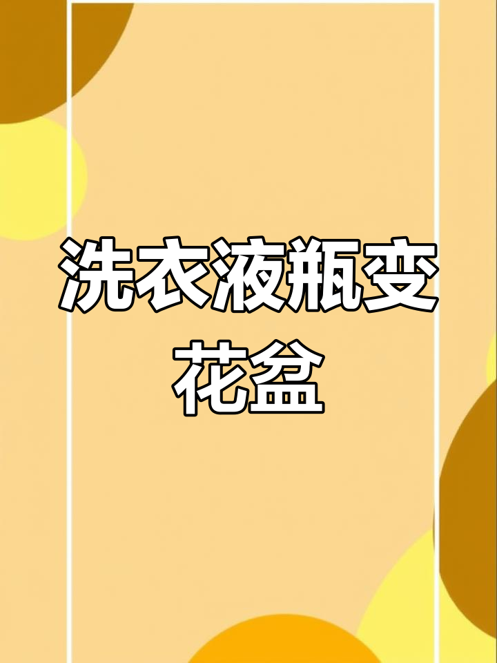 用洗衣液桶做创意花盆,简单又美观