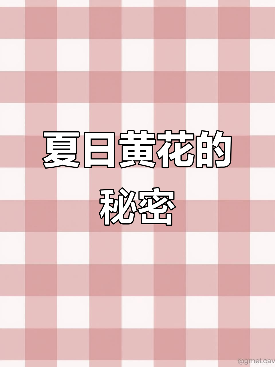刺蒺藜,夏季黄花绽放,果实坚硬,药用价值丰富