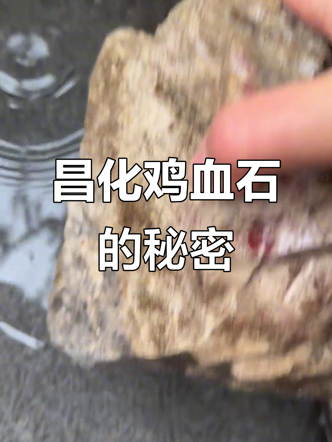 昌化鸡血石揭秘:两块石头的宝石之旅