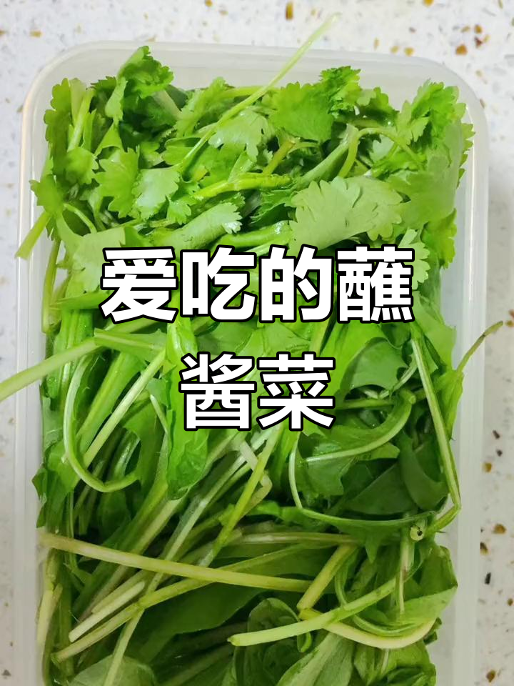分享我的最爱蘸酱菜:臭菜、婆婆丁和小香菜,超爱!