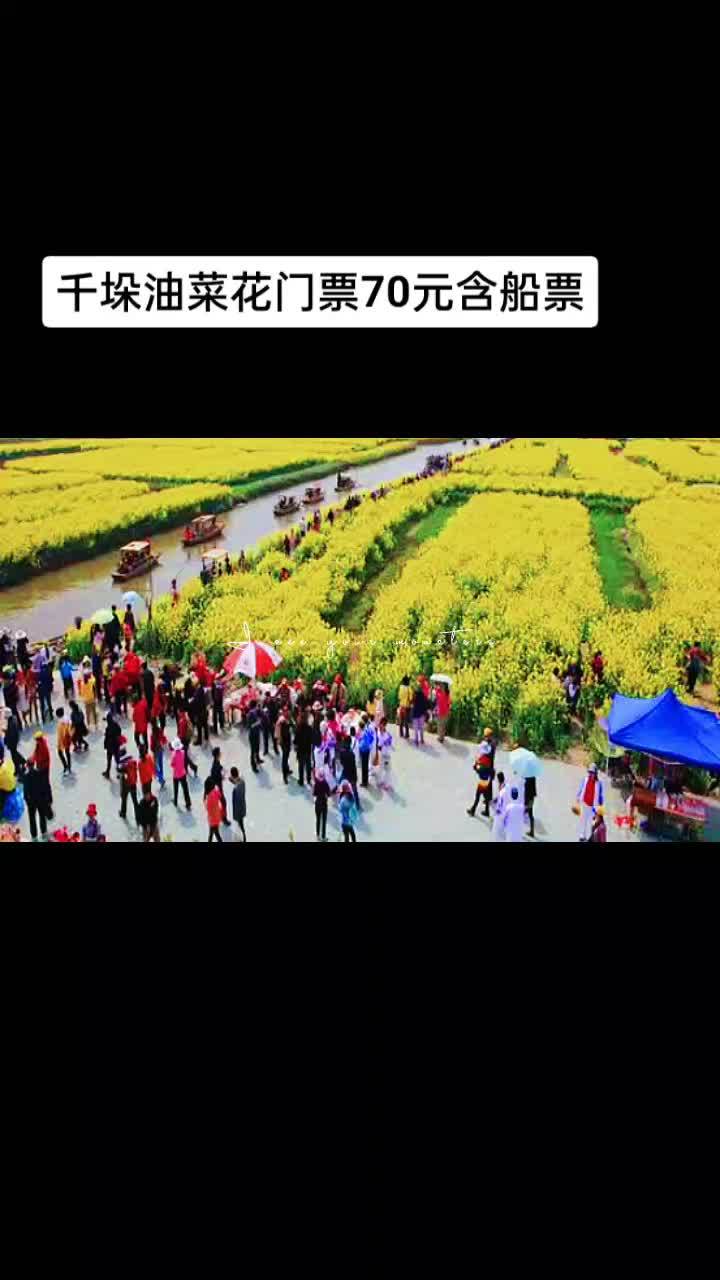 千垛景区油菜花海游玩攻略 宣传家乡旅游文化 旅行推荐官 油菜花