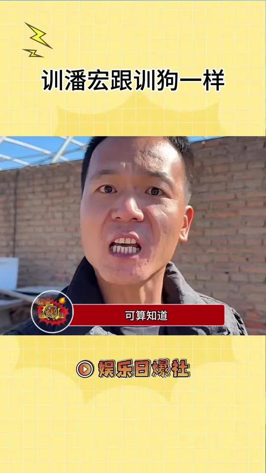 潘宏专业训狗 潘宏老婆专业训潘宏 潘宏爱玩狗 潘宏 潘宏训狗名场面大赏
