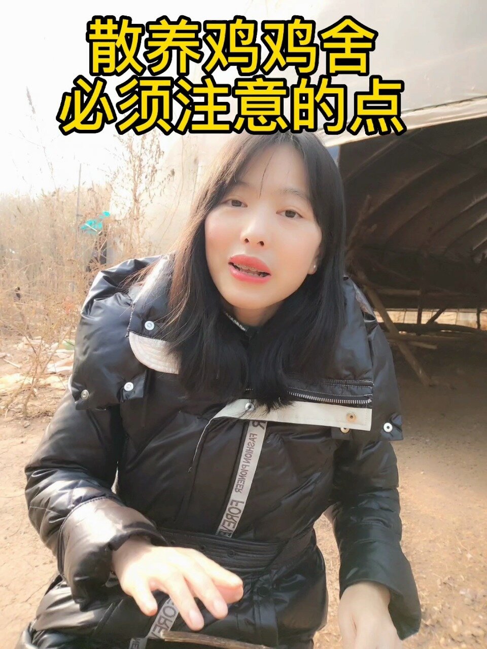 散养鸡舍需要特别注意的点!