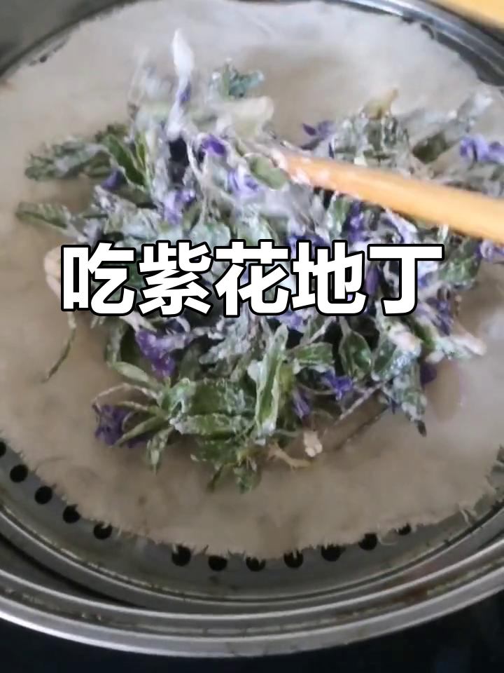 紫花地丁的独特做法,北方常见野菜新吃法