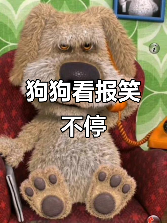 胡老板的神秘电话,狗看报纸也能笑出声