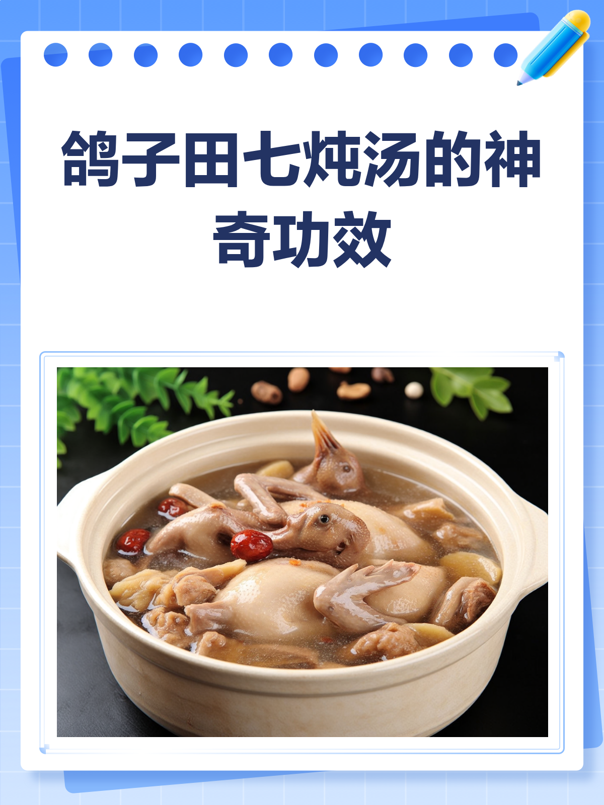 鸽子田七炖汤,滋补养生就靠它!