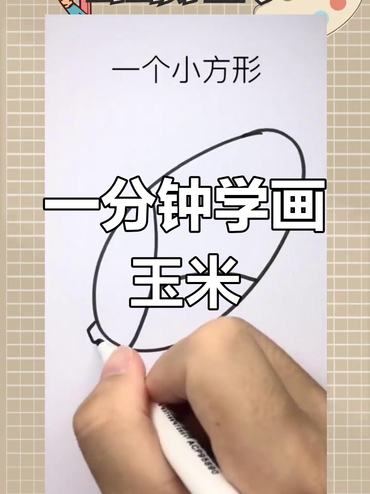 简单玉米简笔画教程,轻松学会