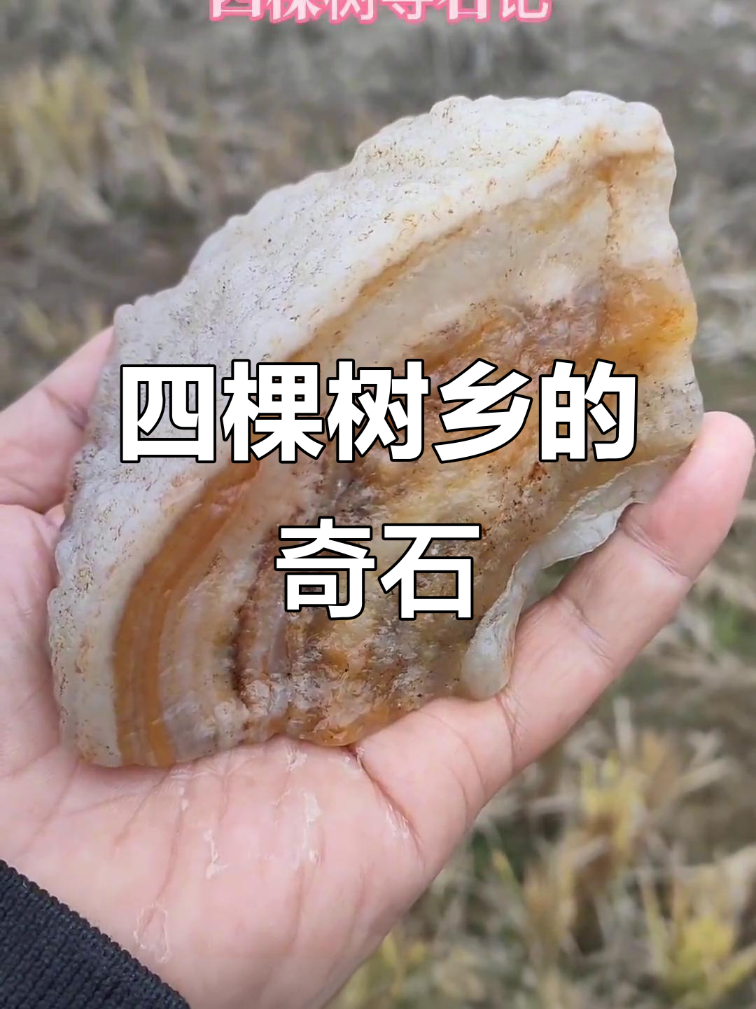 鲁山四棵树乡肉形石大揭秘,红黄白三色熟腊品种多样