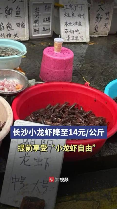 「降至14元/公斤,长沙人提前享受小龙虾自由」“小龙虾拿货价降了,店里卤虾也跟着降一点,希